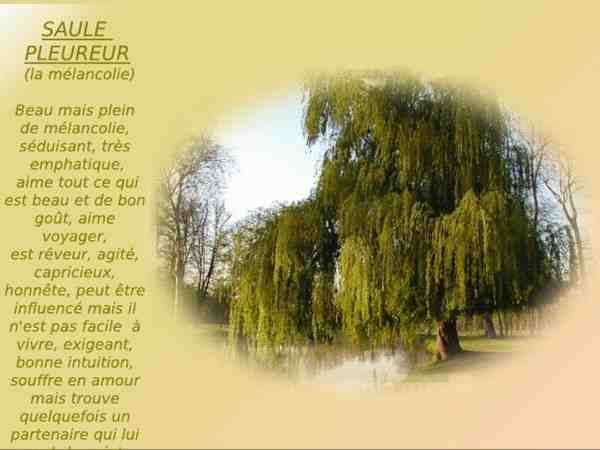 villeneuve-sur-lot